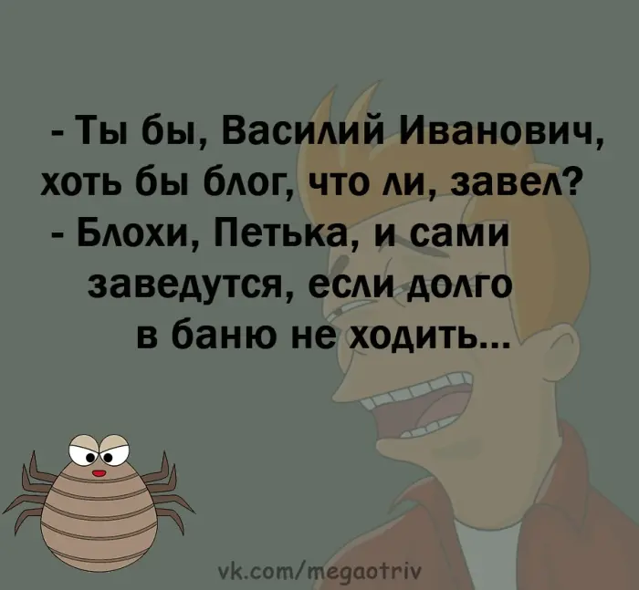 Порция анекдотов