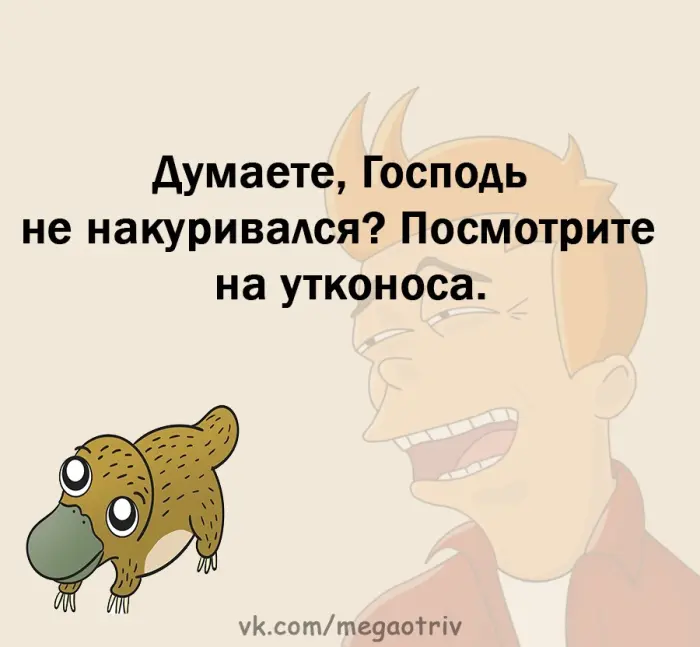 Хорошие анекдоты на каждый день