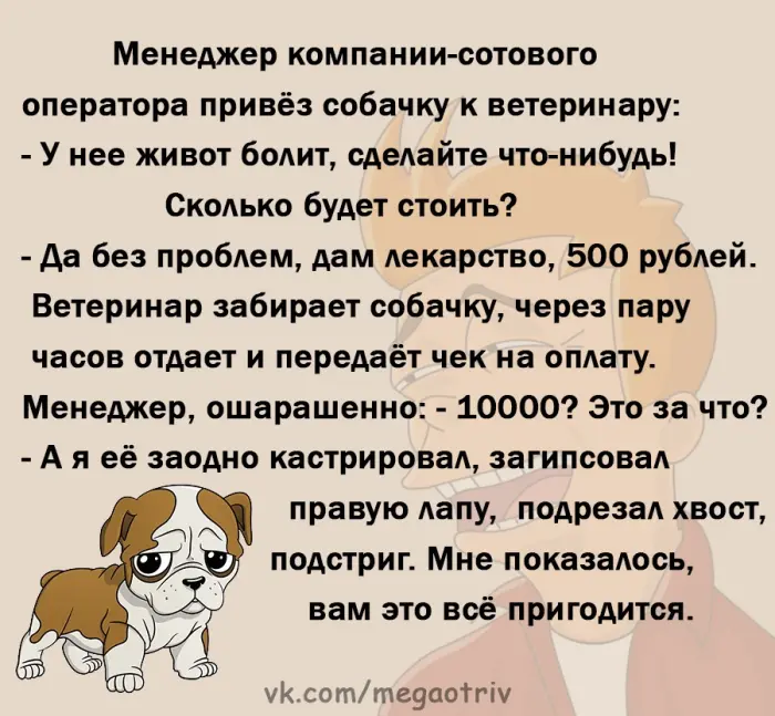 Свежая подборка анекдотов
