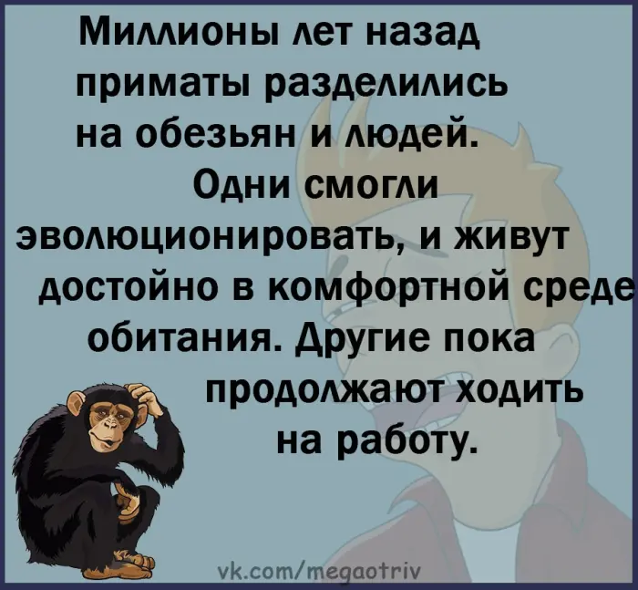 Хорошие анекдоты на каждый день