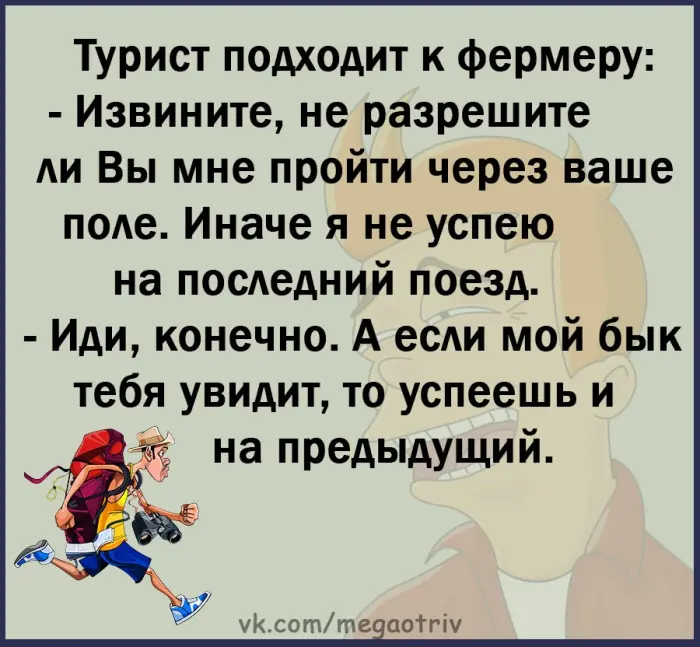 Анекдоты дня