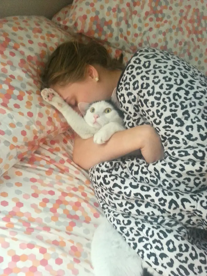 Коты, которым плевать на красоту и обаяние