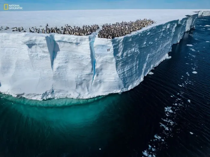 17 лучших фотографий National Geographic