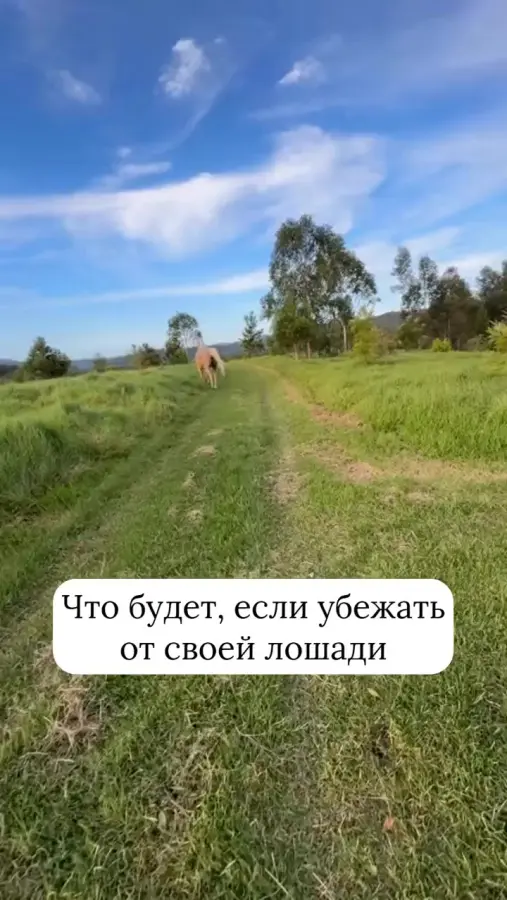 Недовольный