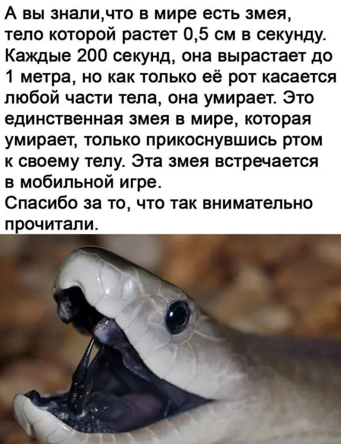 Смешные картинки и мемы на каждый день