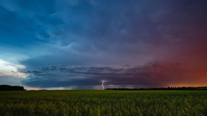 18 лучших снимков фотоконкурса Canadian Geographic