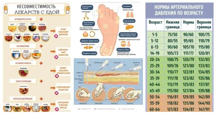 Как устроен наш организм и как его беречь