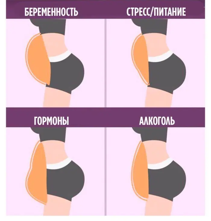 Как устроен наш организм и как его беречь