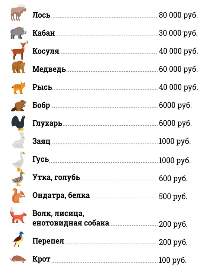 25 практических лайфхаков от бытовых мелочей до важных знаний