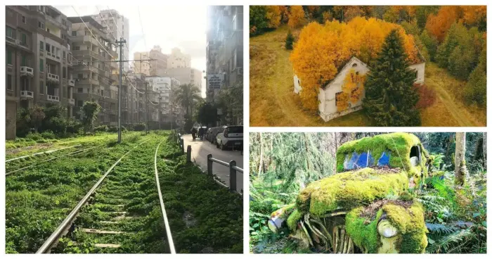 Как природа поглощает заброшенные города и здания