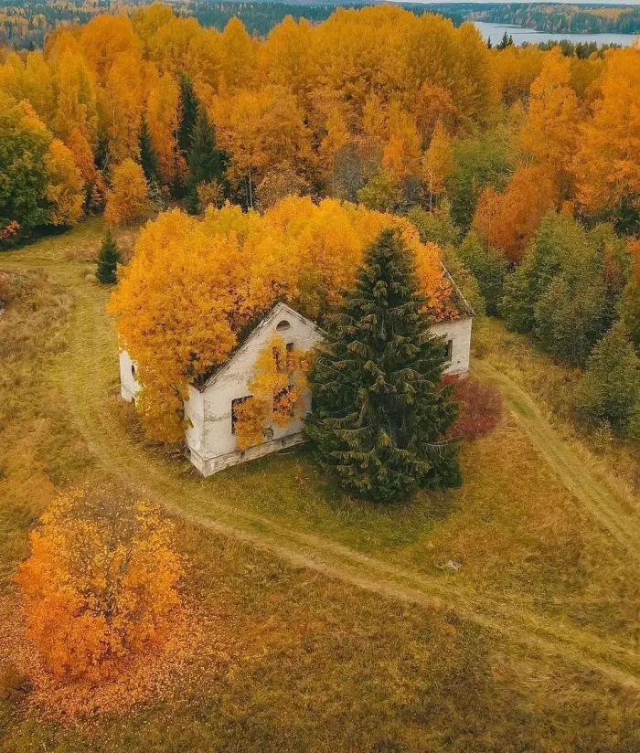 Как природа поглощает заброшенные города и здания
