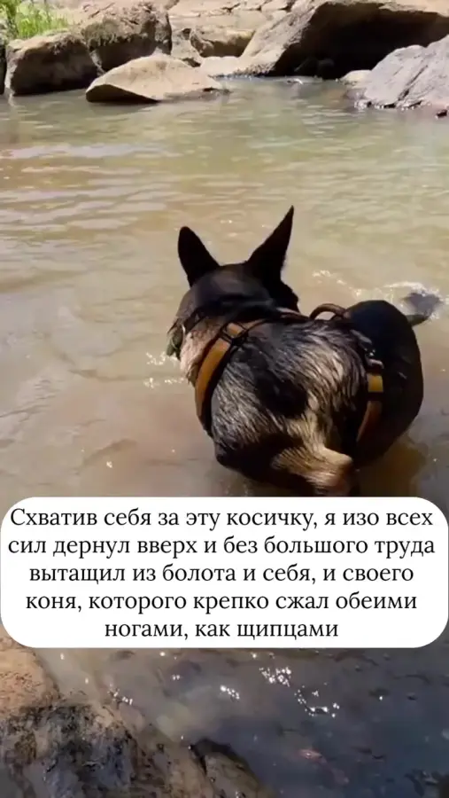 Барон Мюнхгаузен