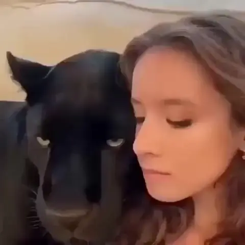 Большие кисы)