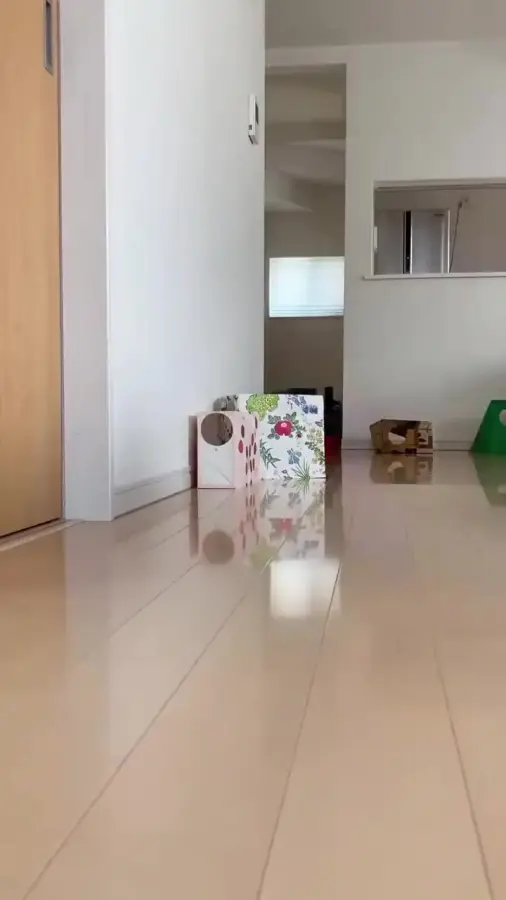 Хорошо, когда есть сменка