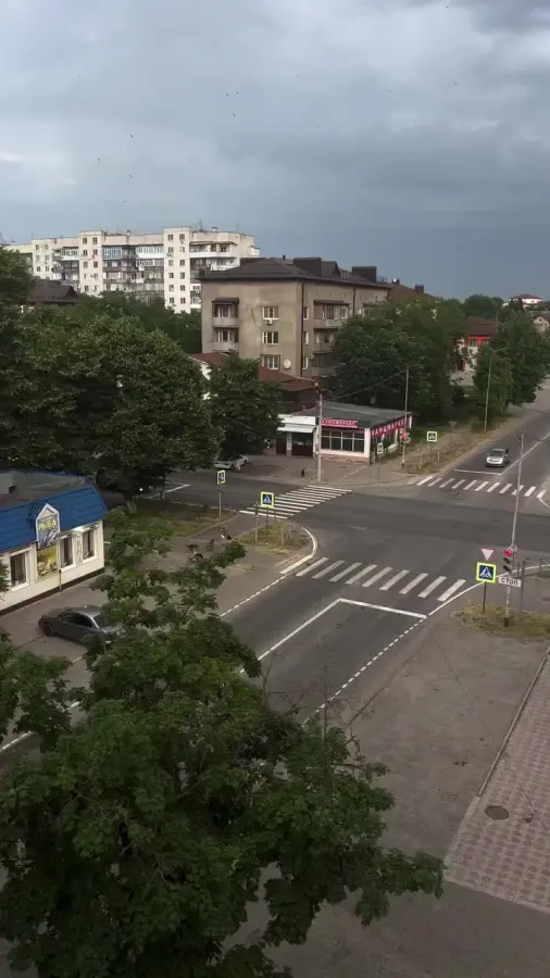 Хвостики хотели поиграть