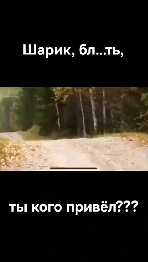 Шарик обнаружил добычу