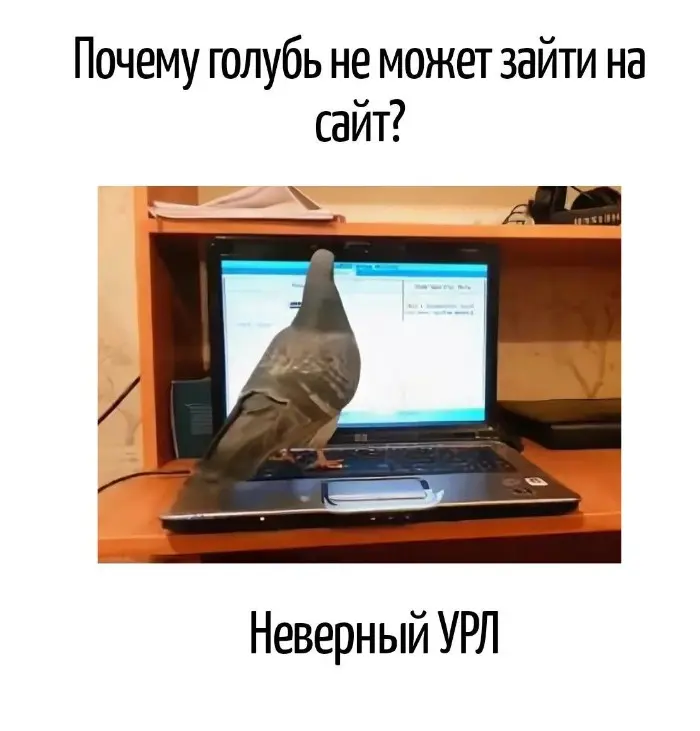 Игра слов – каламбуры, словесный юмор и прикольные картинки #215