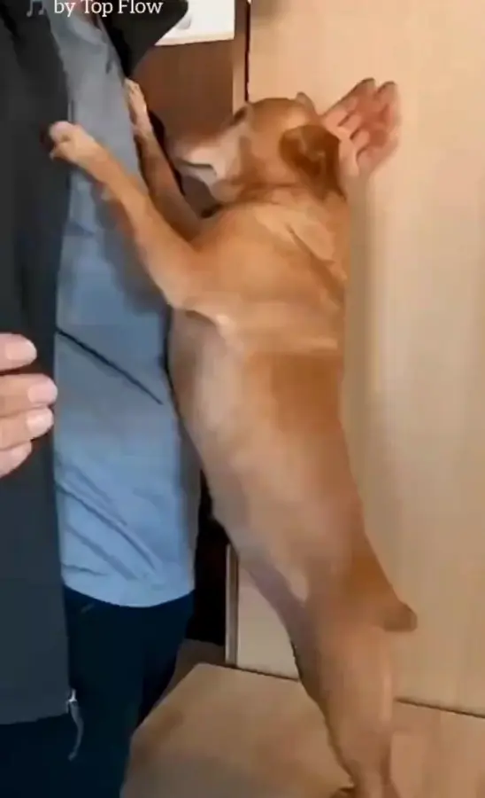 Я так сильно тебя люблю