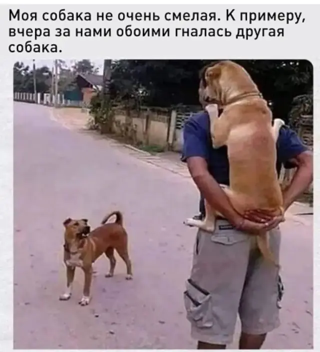 Юмор на картинках