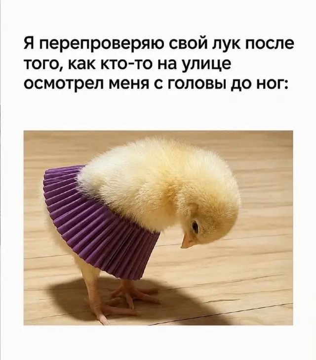 Картинки, которые рассмешат
