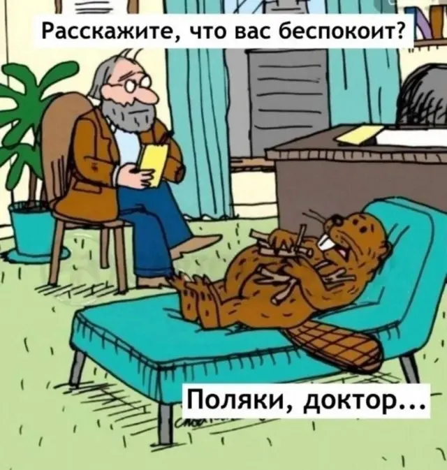 Когда хочется посмеяться: мемы и юмор