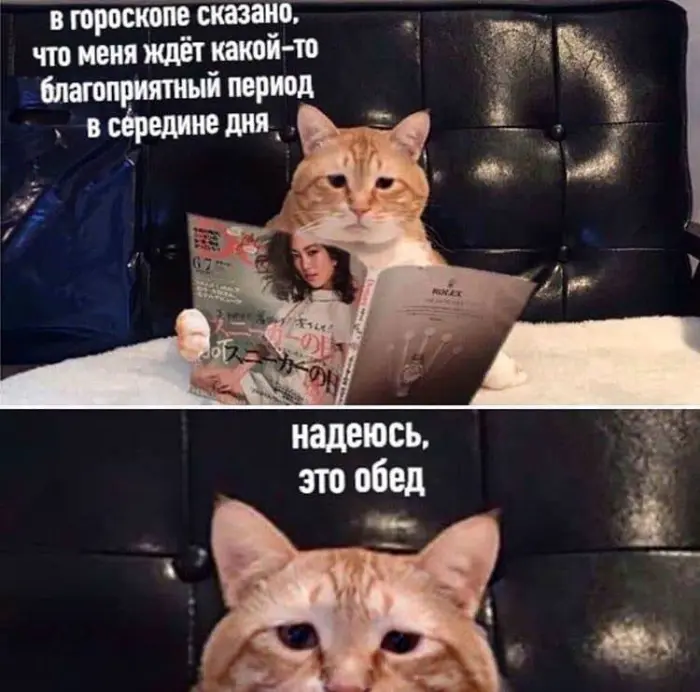 Когда нужен заряд смеха: мемы и смешные картинки