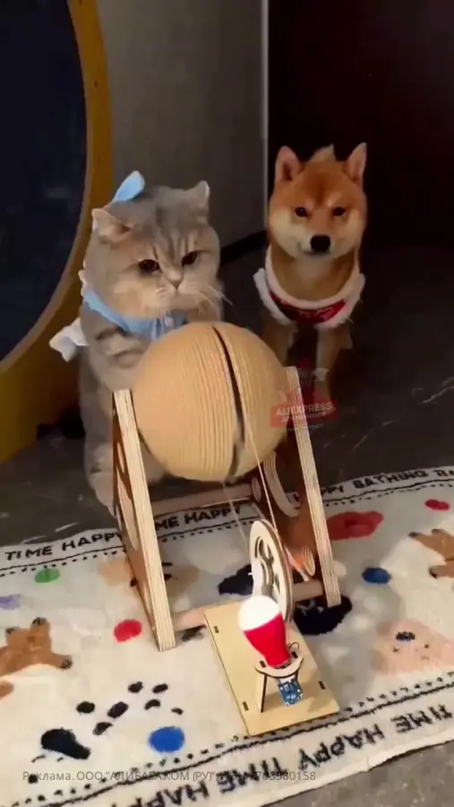 Кто-то должен был это сделать)