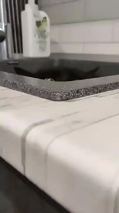 Кухонный монстр
