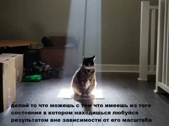 Лучшие мемы и шутки, которые обсуждает интернет