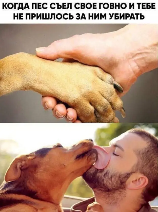 Мемы и юмор