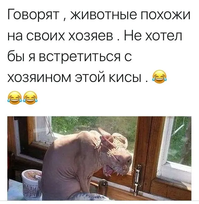 Мемы, приколы и картинки, которые украдут у тебя серьёзное лицо