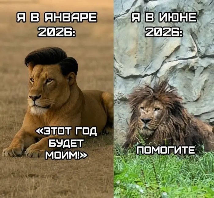 Мемы, шутки и картинки, которые сложно забыть
