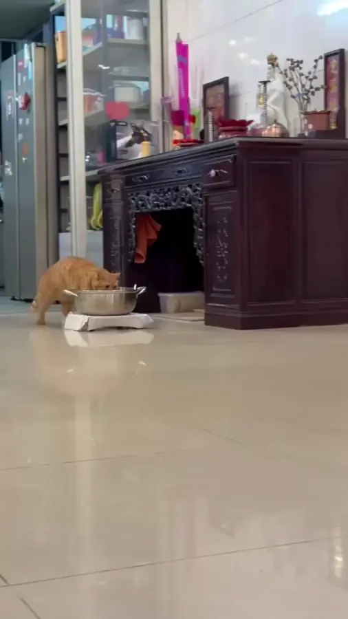 Ну вот мы и на месте, можно спать