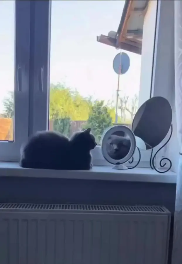 Оно наблюдает за тобой