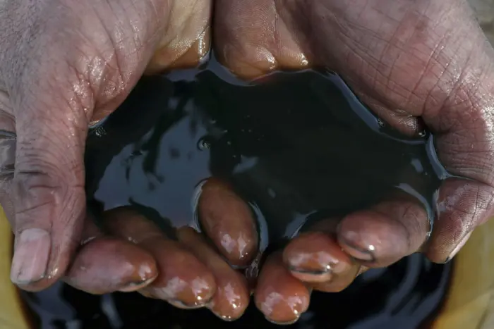 Почему нефть делают не динозавры, а микроскопические водоросли