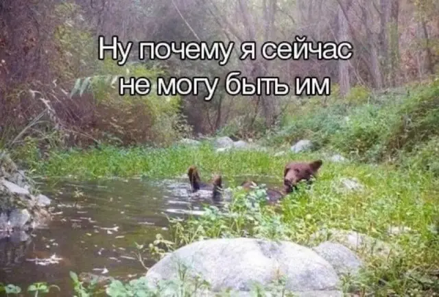 Подборка для смеха