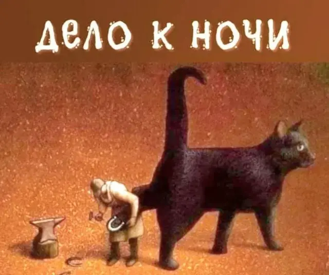 Подборка для смеха