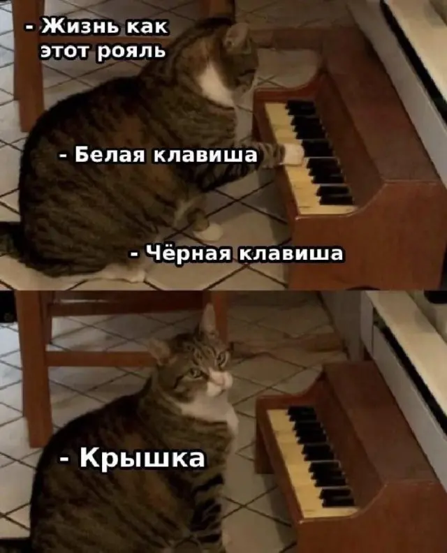 Порция юмора: мемы и смешные картинки