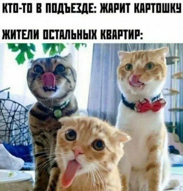 Порция улыбок, мемов и хорошего настроения