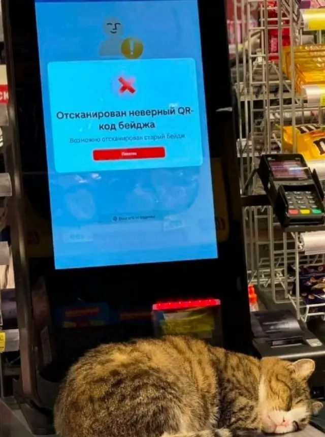 Позитив в картинках