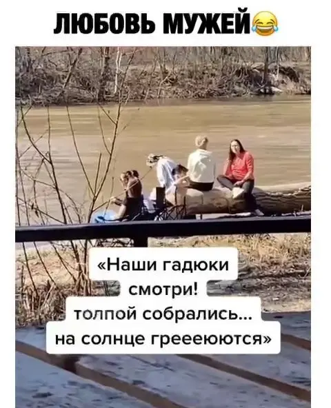 Прикольных картинок пост