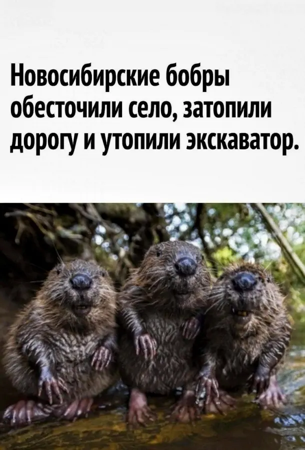 Приколов подборка