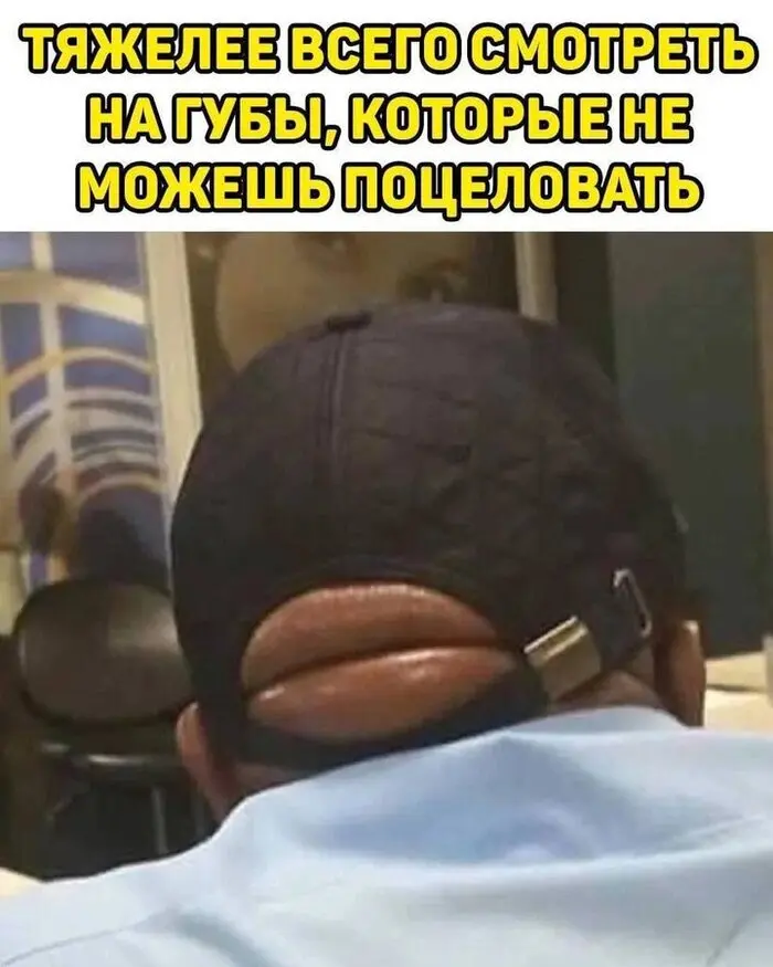 Приколы из сети