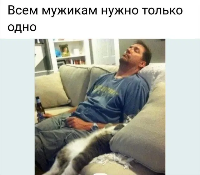 Смех в картинках