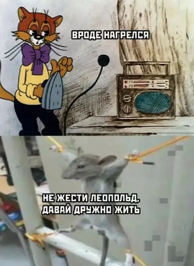 Смех в картинках