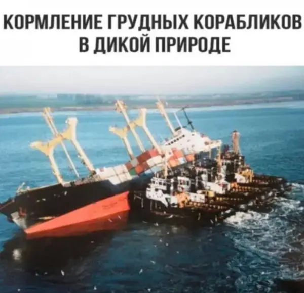 Смешной пост