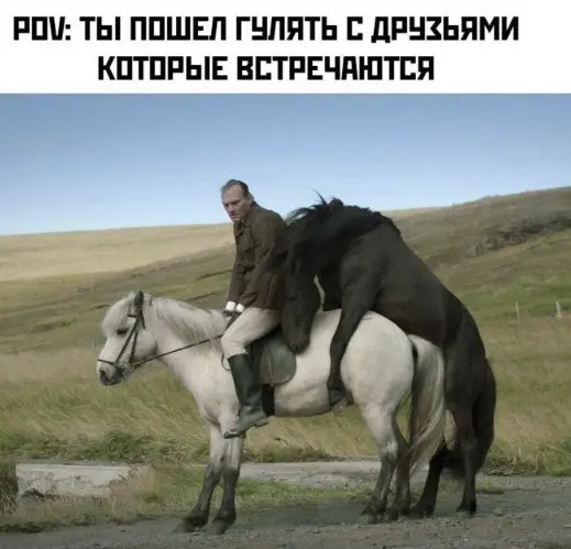 Смешные картинки