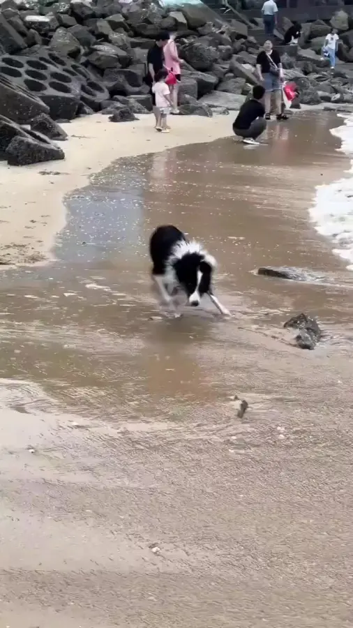 Так резво я уже не смог, но на море тоже ошалеваю от волн
