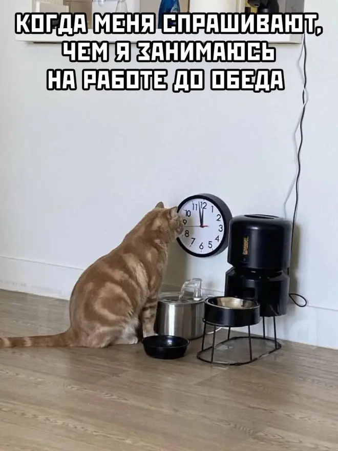 Тут смешно: картинки, мемы и настроение