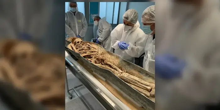 Ученые выяснили, чьи останки покоились в свинцовом саркофаге под Нотр-Дамом